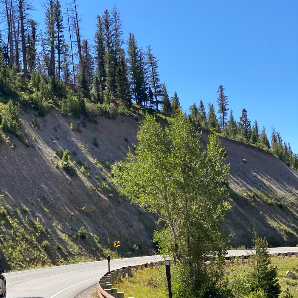 Meet your Posher, Tashiena